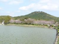 花立山公園の画像