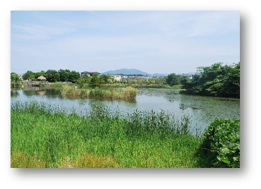 斜ヶ浦池の画像