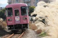 小郡の住宅街をゆく