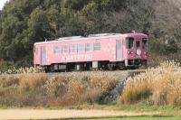 冬の田園地帯をゆくAR306号