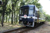 信号場を後に並木の中をゆくAR307号