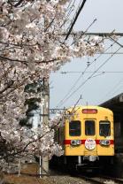 桜の横でひと息