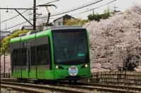 桜に映える5002号