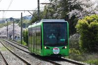 桜をバックに三ヶ森の街中へ