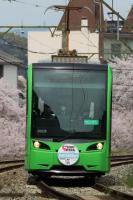 満開の桜をバックに西山へ入線