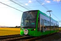 逆光に映える稲穂の中をゆく5002号