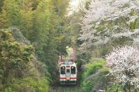 源じいの森駅へ進入する412号