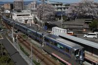 沿線の桜に囲まれて五条駅に進入する3000形