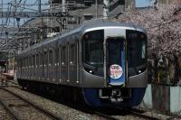 桜を背に駆け抜ける3000系