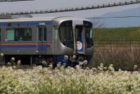 郊外を疾走する3000形