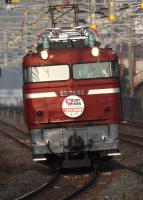 夕陽を浴びて単機回送されるED7683号