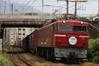 桜島をバックに発車するED761019号