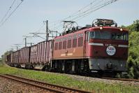 大野下の名所を下るED761019号