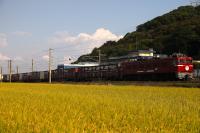 秋の稲穂の中をゆくED761022号