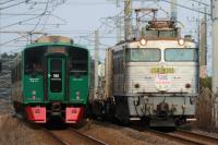 783系特急みどりと並んだEF81303号