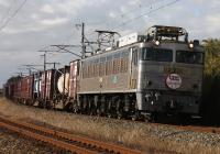 大野下の名所をゆくEF81303号