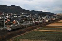 早朝の行橋路をゆく303号