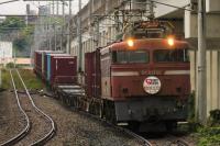 夕刻の熊本路をゆく406号