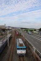 若戸大橋をバックにラストスパートの501号