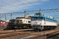 「あそぼーい！」と並んだ501号