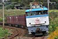 植木カーブをゆく501号