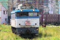 鹿児島駅に到着した501号