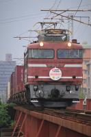 乙津川を渡る717号