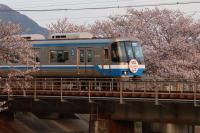 桜の中を駆ける第20編成