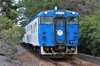 海岸沿いの防風林の中をゆくキハ47