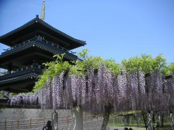 吉祥寺の画像