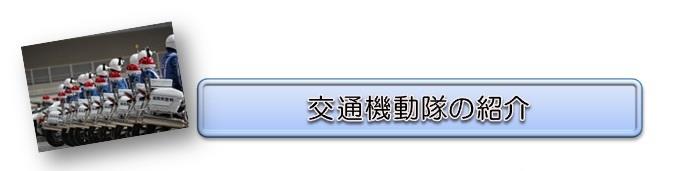 交通機動隊の紹介