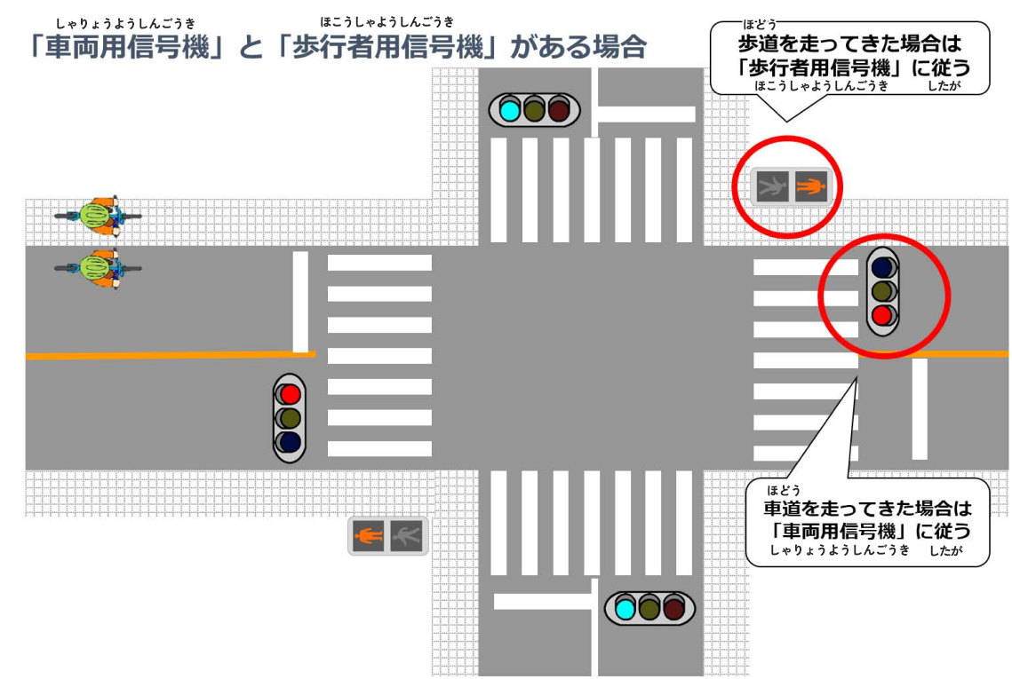 車両専用信号機と歩行者用信号機がある場合
