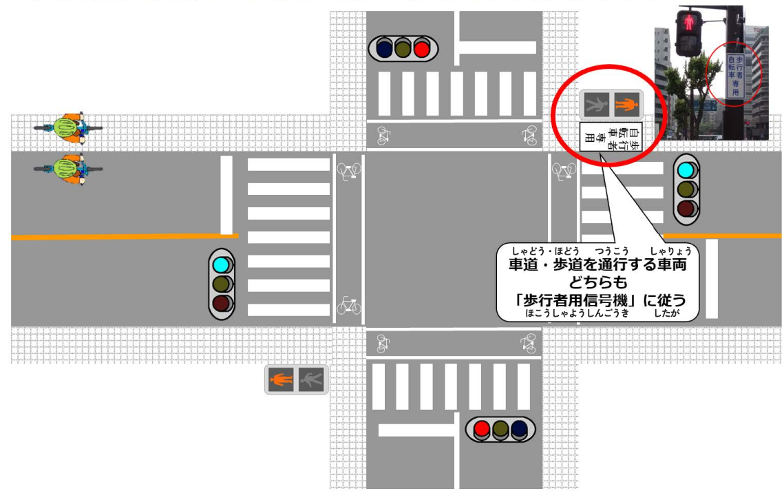 車両専用信号機と歩行者・自転車専用の補助標識がある場合