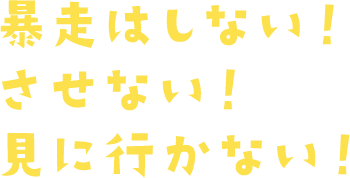 暴走はしない！させない！見に行かない！